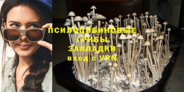 метадон Новозыбков