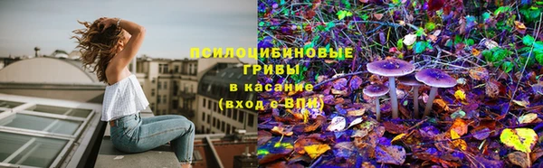 метадон Новозыбков