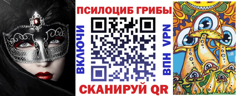 Галлюциногенные грибы MAGIC MUSHROOMS  купить наркотики сайты  Салехард 